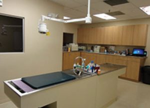 An image of Dr. Phillips Animal Hospital