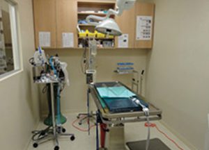 An image of Dr. Phillips Animal Hospital